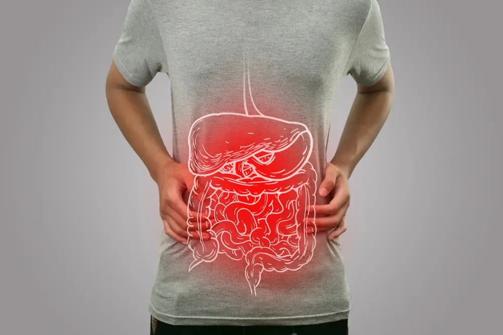 מחלות מערכת העיכול והכבד - תמונה תיאורית